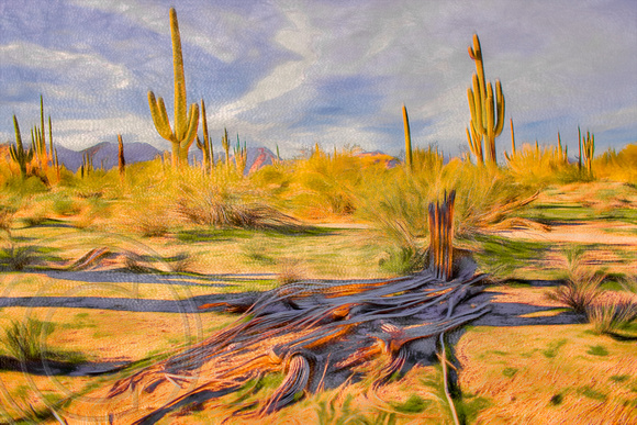 abstract sonoran desert