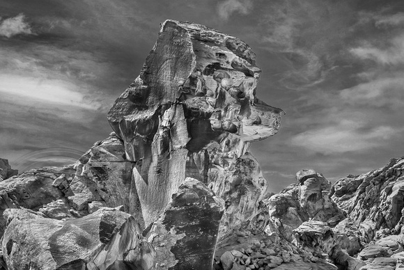 Poodle Rock-Valley of Fire NV B&W