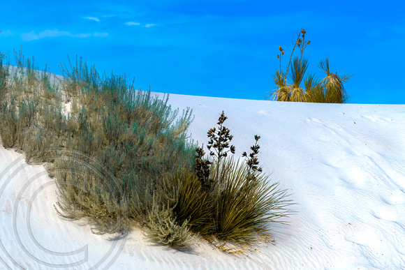 White Sands Landscape 9-30-2022