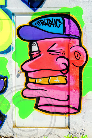 Graffiti-head on door-Billings MT-5-12-2016