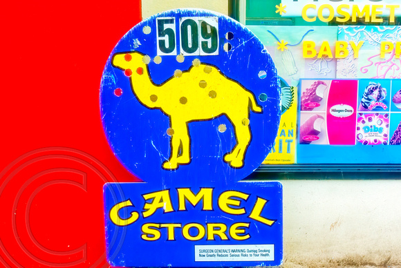 Camel Advertising Sign-Ballard Washington-2-03-2008