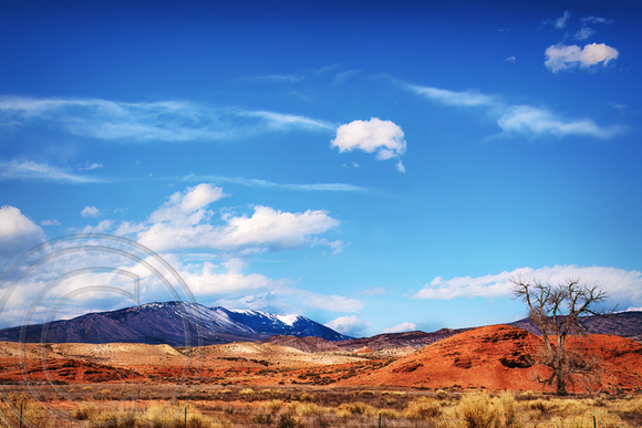 Wyoming Landscape-3-28-2015