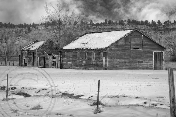 Old Barn and Out Builings-Pompeys-Montana-3-31-2023