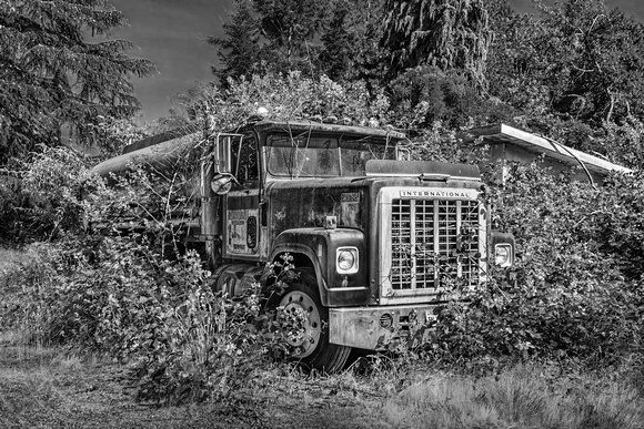 Abandoned International Truck-Gig Harbor WA-6-24-2018-bw