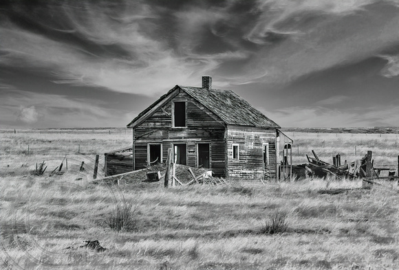 Abandoned Homestead - Ingomar