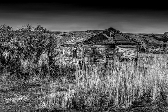 Old Farm Shed