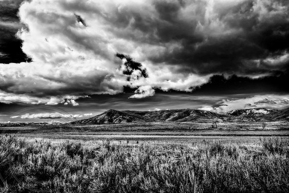 Wyoming Landscape B&W