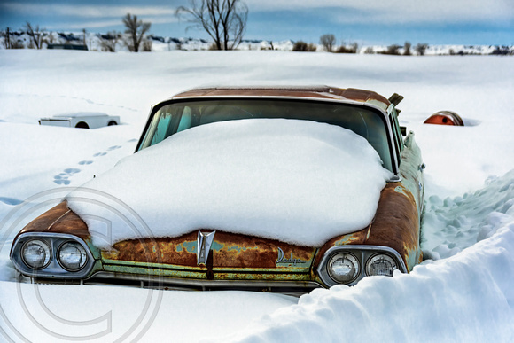 Dodge in Snow