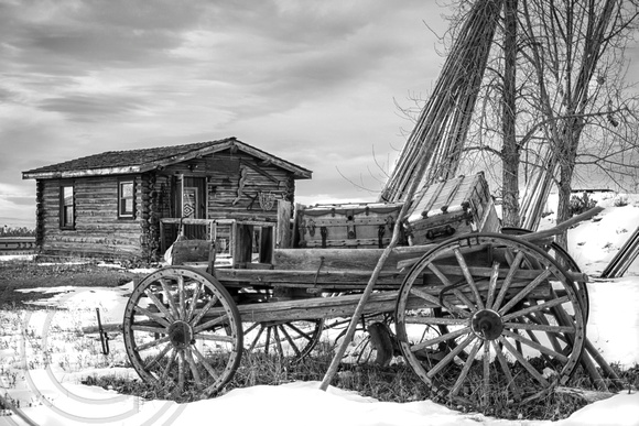 Wooden Wagon by Crow Agency b&w
