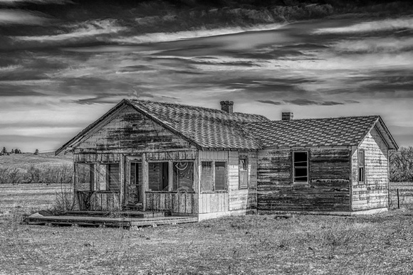 Abandoned House Crow