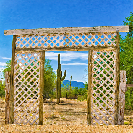 Gate and Saguaro