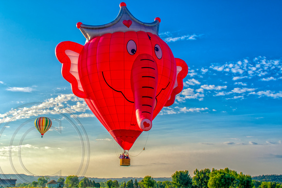 Elephant head balloon