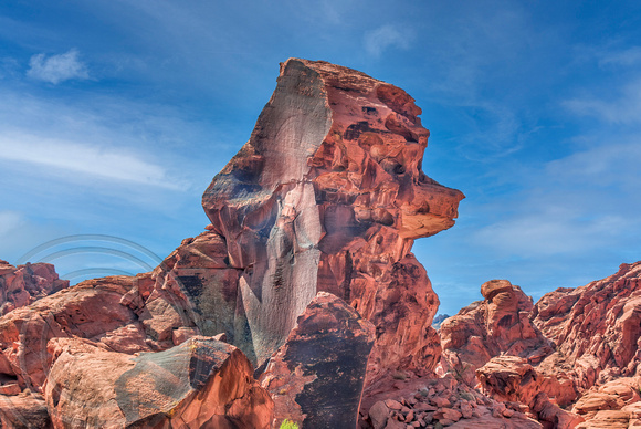 Poodle Rock-Valley of Fire NV