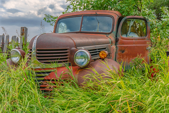 Vintage Dodge Truck in Tall Grass