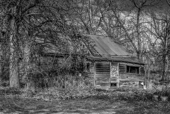 Abandoned house Roundup