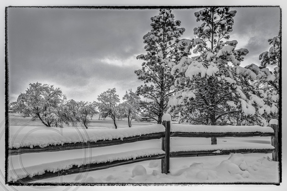 Montana Winter Landscape
