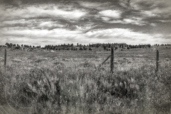 Montana Landscape and Fence-2