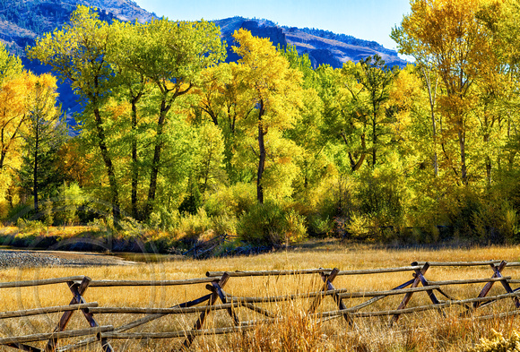 Yellowstone Landscape -w wooden fence