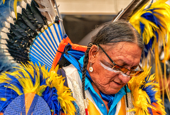Native American Dancer at a Pow wow