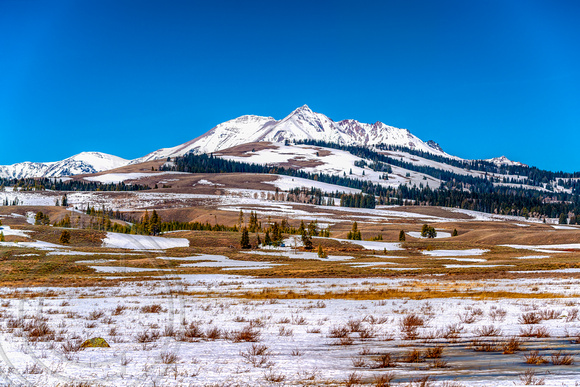 Landscape in Yellowstone Park
