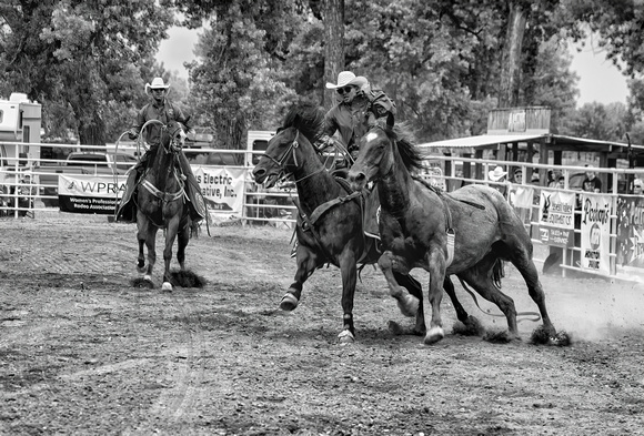 Cowboy wrangling riderless horse
