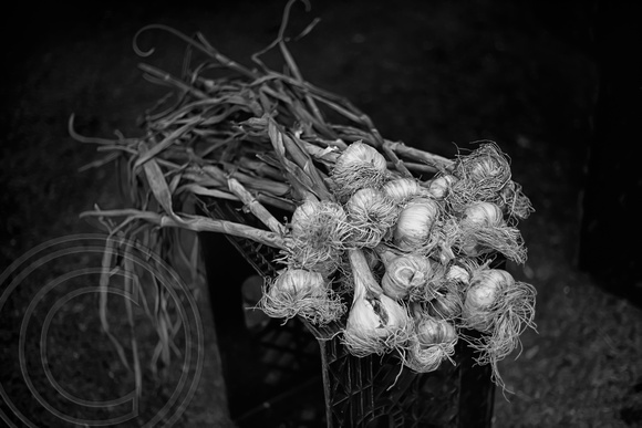 Garlic Bundle