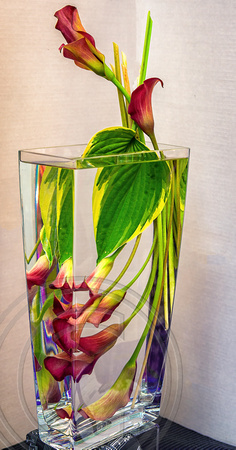 Flower in water and glass