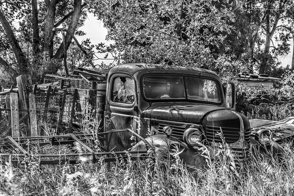 Old Dodge Truck