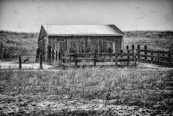 Shed on the prairie with snow