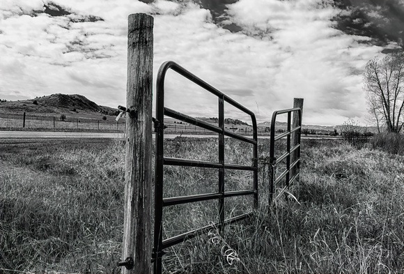 Gate no fence