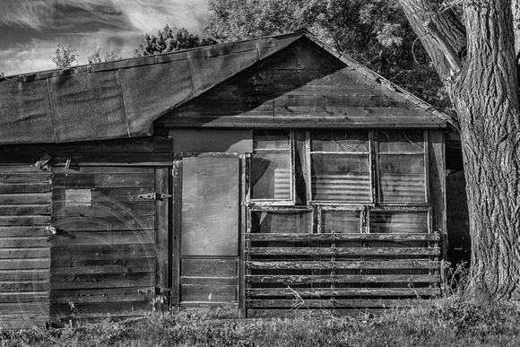 Shack with Tar Paper Roof-Billings 7-23-2022