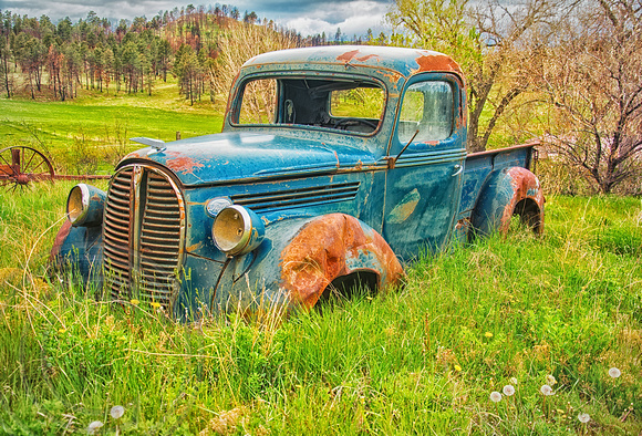 Old Ford Pickup abandoned in a field