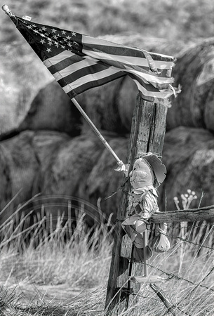 Flag and doll on fence