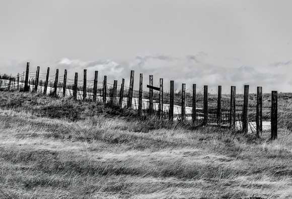 Fence posts - Landscape
