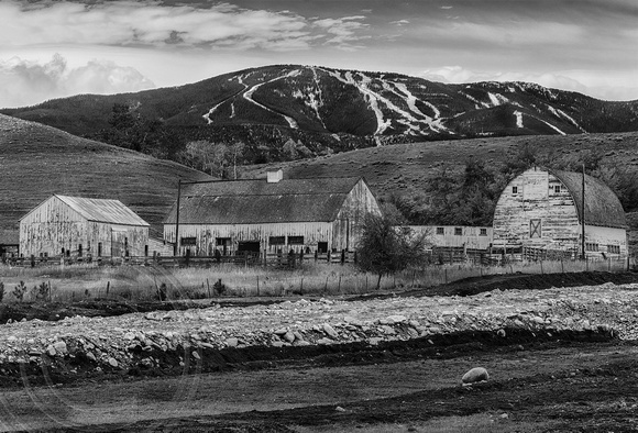 Barns by Red Lodge YBR