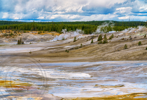 Geyser Basis in Yellowstone National Park