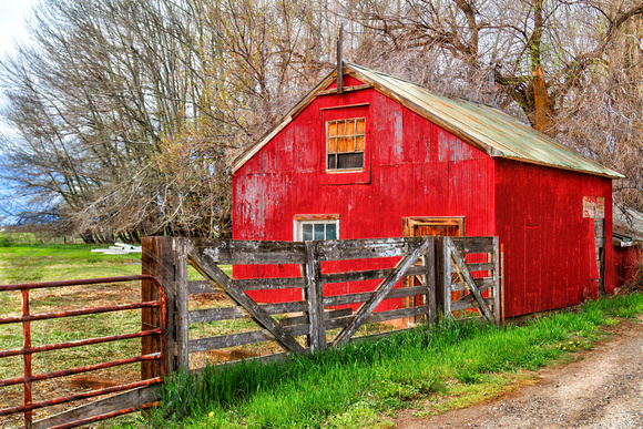 Red Shed-1